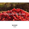 Venta caliente certificada al por mayor orgánico Goji Berries bayas de goji bayas de goji secas frutos secos